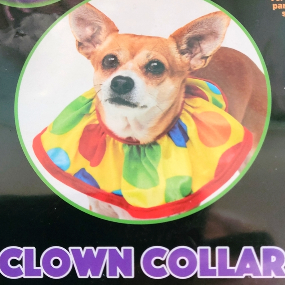 Clown Collar - Medium/Large - New